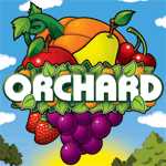 Orchard