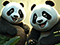 Panda Choice Mahjong