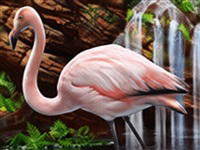 Paradise Quest