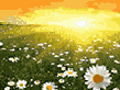 Pixel Art 10
