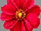 Pixel Art 12