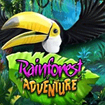 Rainforest Adventure