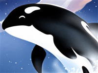 Slide: Animal Race