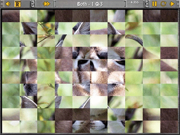 Sliders and Other Square Jigsaw Puzzles screenshot 1