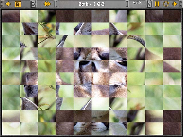 Sliders and Other Square Jigsaw Puzzles screenshot 1
