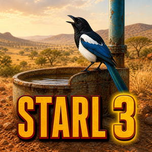StarL 3