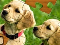 Super Jigsaw Pets