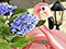 Sweet Home 4: Look and Find