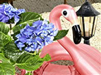 Sweet Home 4: Look and Find