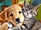 Sweet Home 5: Look and Find