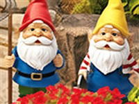 Sweet Home 6: Look and Find