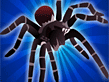 Tarantula Solitaire