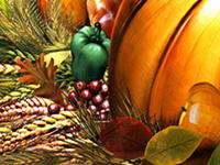 Thanksgiving: Spot the Difference
