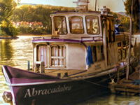 The Abracadabra's Journey