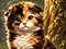 The Harmony Chronicles: Elixir Revolution