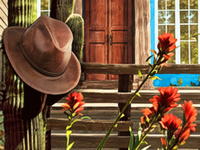 The Last Cowboy