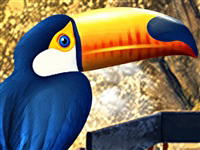 Travel to Brazil