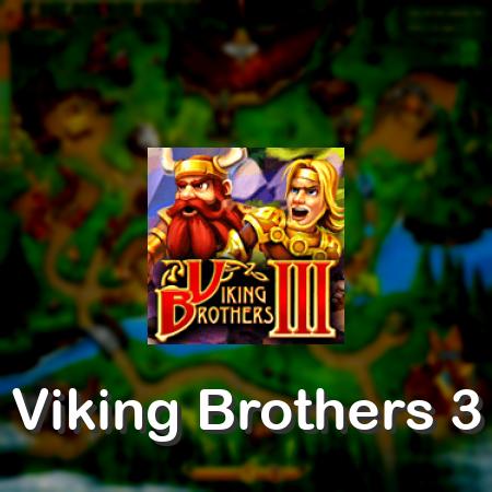 Viking Brothers 3