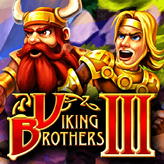 Viking Brothers 3