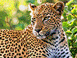 Weekend Solitaire 8