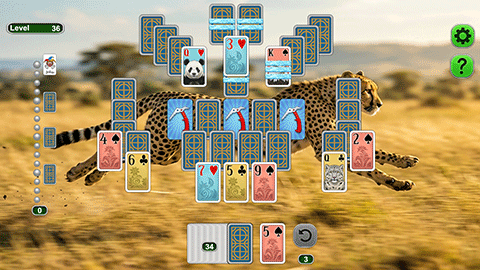 Weekend Solitaire: Grace in Motion screenshot 2