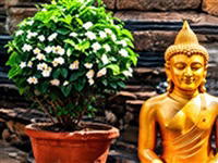 World Wonders: Hidden Histories 3