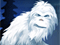 Yeti Legend: Mystery of the Forest