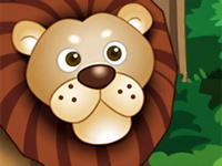 Zoo Animals